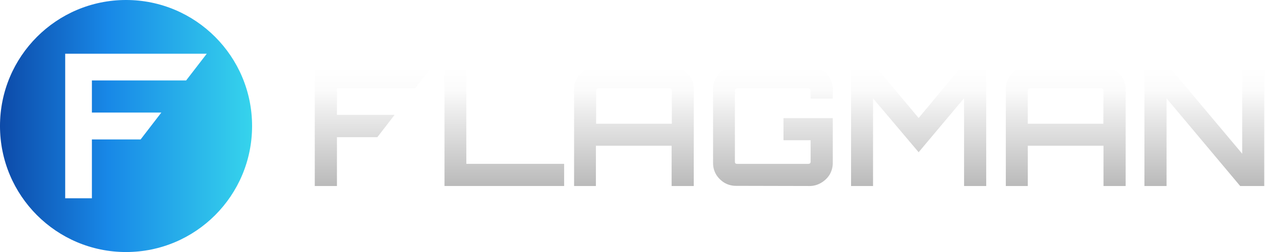 logo_flagman